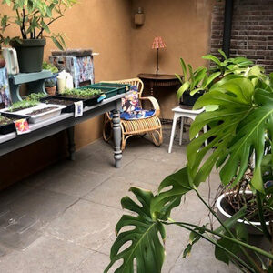 Workshop Planten stekken
