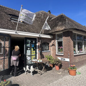 Kaas- en ijsboerderij de Willigen